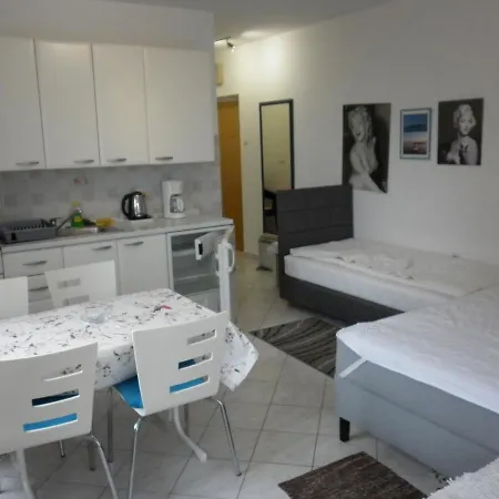 Apartment Antoncic *
